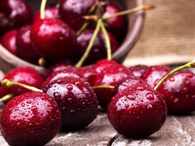 Вишня купить саженцы из питомника в Батайске